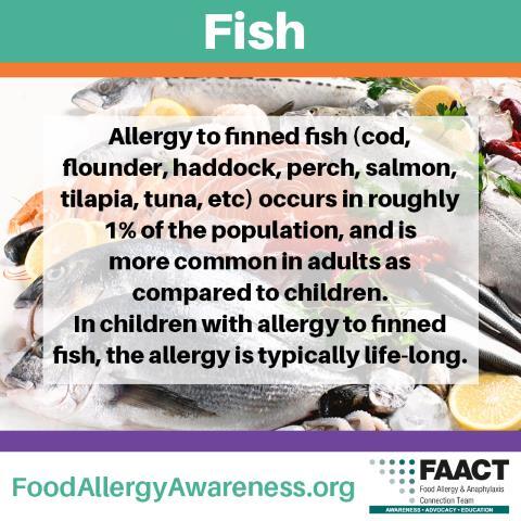 Seafood Allergy: Finned Fish